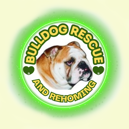 BULLDOG RESCUE & REHOMING