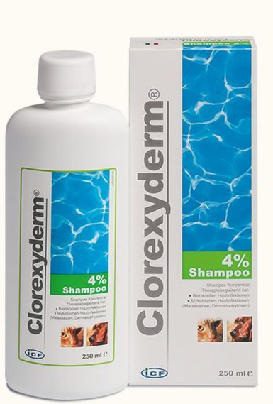 Clorexyderm 4% Disinfectant Shampoo